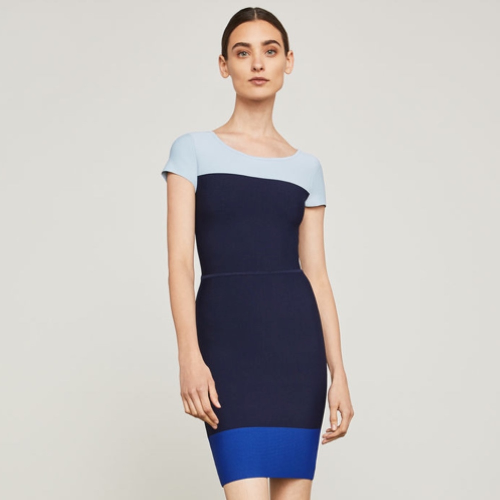 BCBG Jacquetta Colorblocked Dress